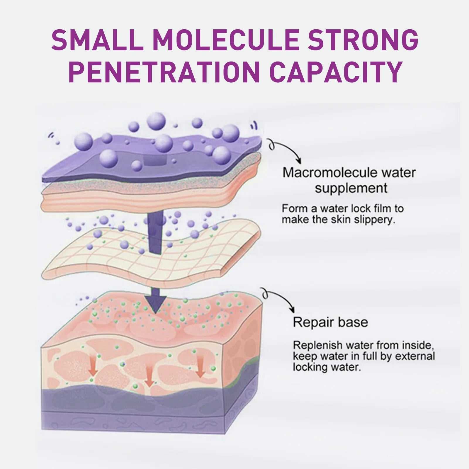 EELHOE Small Molecule Water Supplement Illustration Showing Strong Penetration Capacity for Skin Hydration