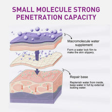 EELHOE Small Molecule Water Supplement Illustration Showing Strong Penetration Capacity for Skin Hydration
