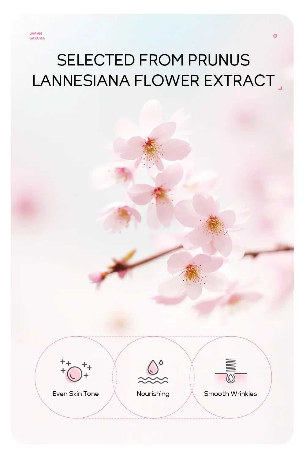 LAIKOU Prunus Lannesiana Flower Extract Treatment for Even Skin Tone and Nourished Skin