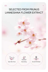 LAIKOU Prunus Lannesiana Flower Extract Treatment for Even Skin Tone and Nourished Skin