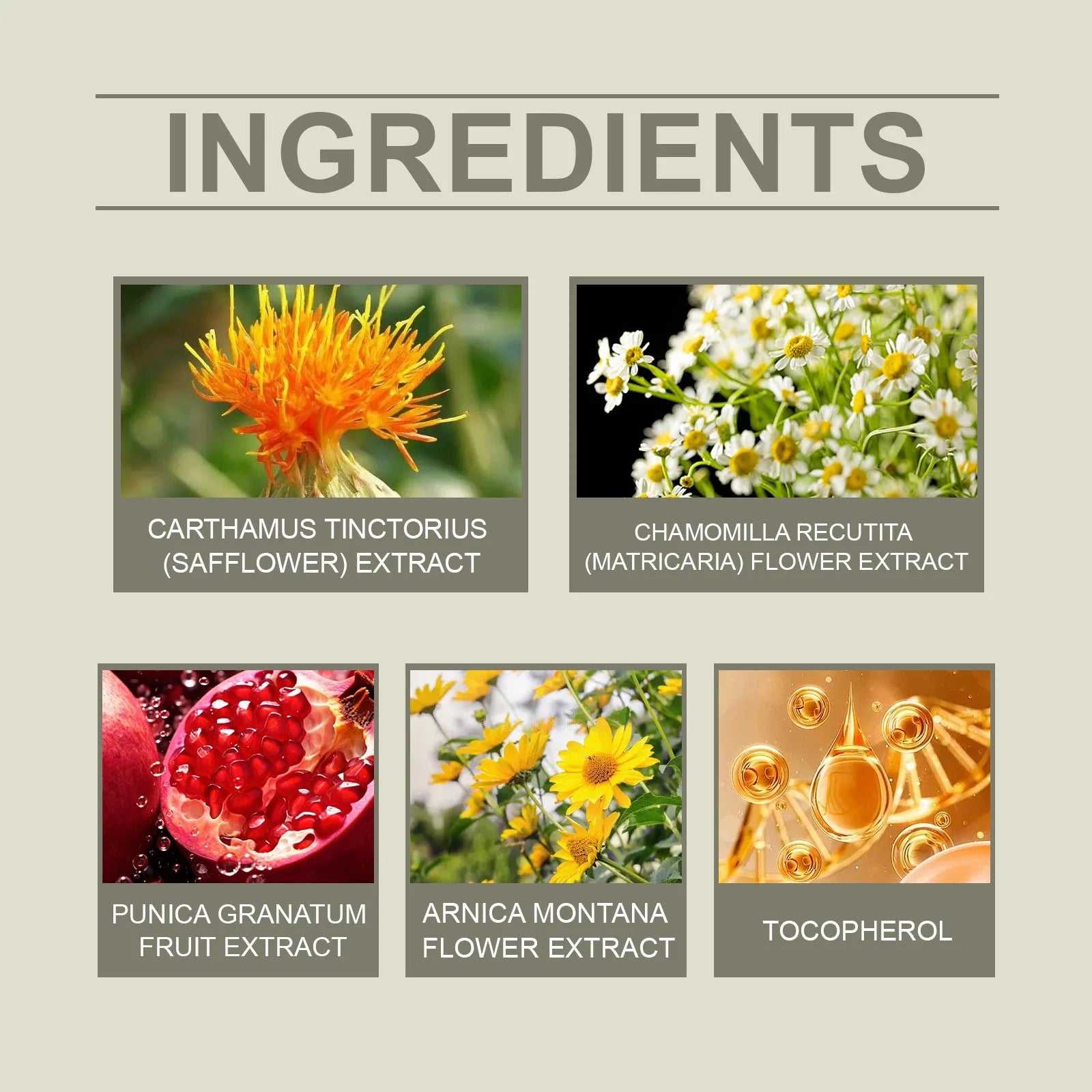 Ingredients of nourishing night cream featuring safflower extract, chamomile, pomegranate, arnica, and tocopherol.